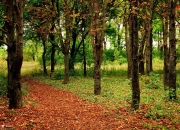 金年会网址-横扫与统治，奇才双线崩溃与福克斯王座登基夜