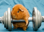 -德甲争冠夜，当克莱式稳定成为胜负的终极砝码