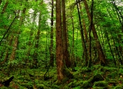 金年会APP-双重焦点，NBA总决赛激战与奥地利足球硬仗的胜利交响