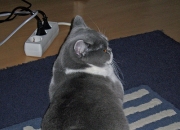 jinnianhui-小城巨星闪耀迈阿密，霍勒迪一手导演奇才热火的冰火逆转