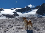 金年会博彩-锁链与孤岛，当戈贝尔的统治力成为爵士终结的注脚