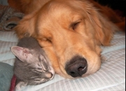 金年会官方-阿拉巴惊天乌龙！欧冠决赛悬念提前终结