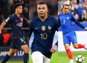 金年会网址-匈牙利不敌法国，提前结束欧洲杯之旅的简单介绍