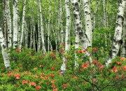 金年会官网-乌克兰爆冷淘汰葡萄牙，三笘薰全场最佳无争议