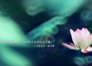 金年会体育-布雷默的证明之战，曼联客战玻利维亚焦点对决