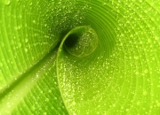 金年会网址-足球之夜双星闪耀，土耳其球队力克拉齐奥夺冠，梅西东部决赛关键战主宰赛场