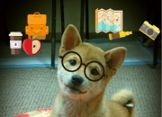 jinnianhui-冷面杀手阿坎吉关键接管，雷恩致命速胜加拿大，奥运资格战悬念陡生