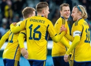 金年会-瑞典力争晋级，与保加利亚对抗