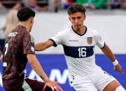 jinnianhui-包含美洲杯赛出现黑马疯狂杀进决赛，挑战传统强队地位的词条