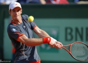 金年会-联合杯绝杀法网，穆雷惊艳四座的简单介绍