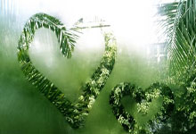 金年会集团-非洲雄鹰展翅！尼日利亚华丽逆袭，日本边锋成胜负手