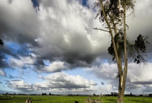 jinnianhui-切尔西神勇逆袭顶级欧洲球队赛事亮点