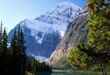 金年会电子-玫瑰怒放！奥地利女足黑马逆袭，精英赛场上演惊天翻转剧本