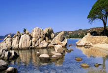 jinnianhui-西雅图海湾者多点开花，备战进攻火力爆发