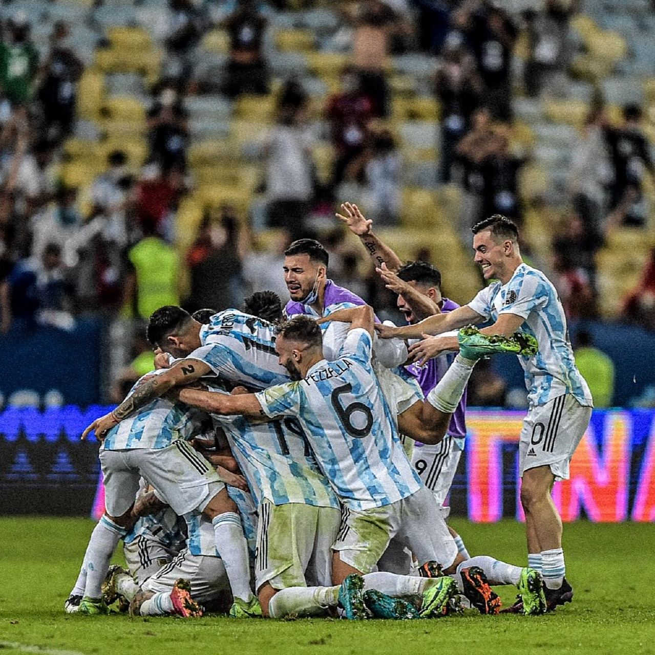 男子排球比赛中阿根廷击败对手 男子排球比赛中阿根廷击败对手