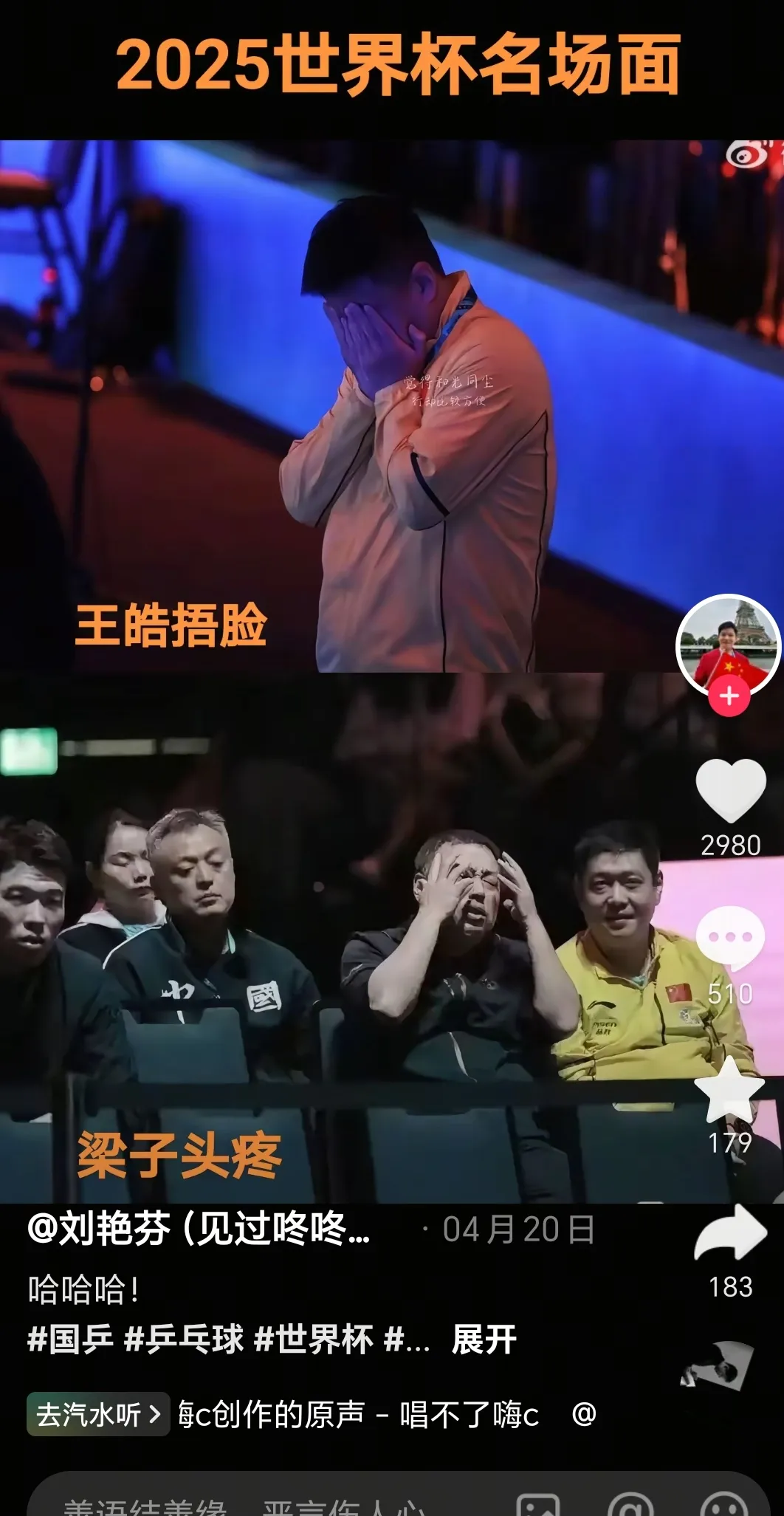 关于比利时乒乓球队碾压德国乒乓球队,王皓关键制胜的信息 关于比利时乒乓球队碾压德国乒乓球队,王皓关键制胜的信息