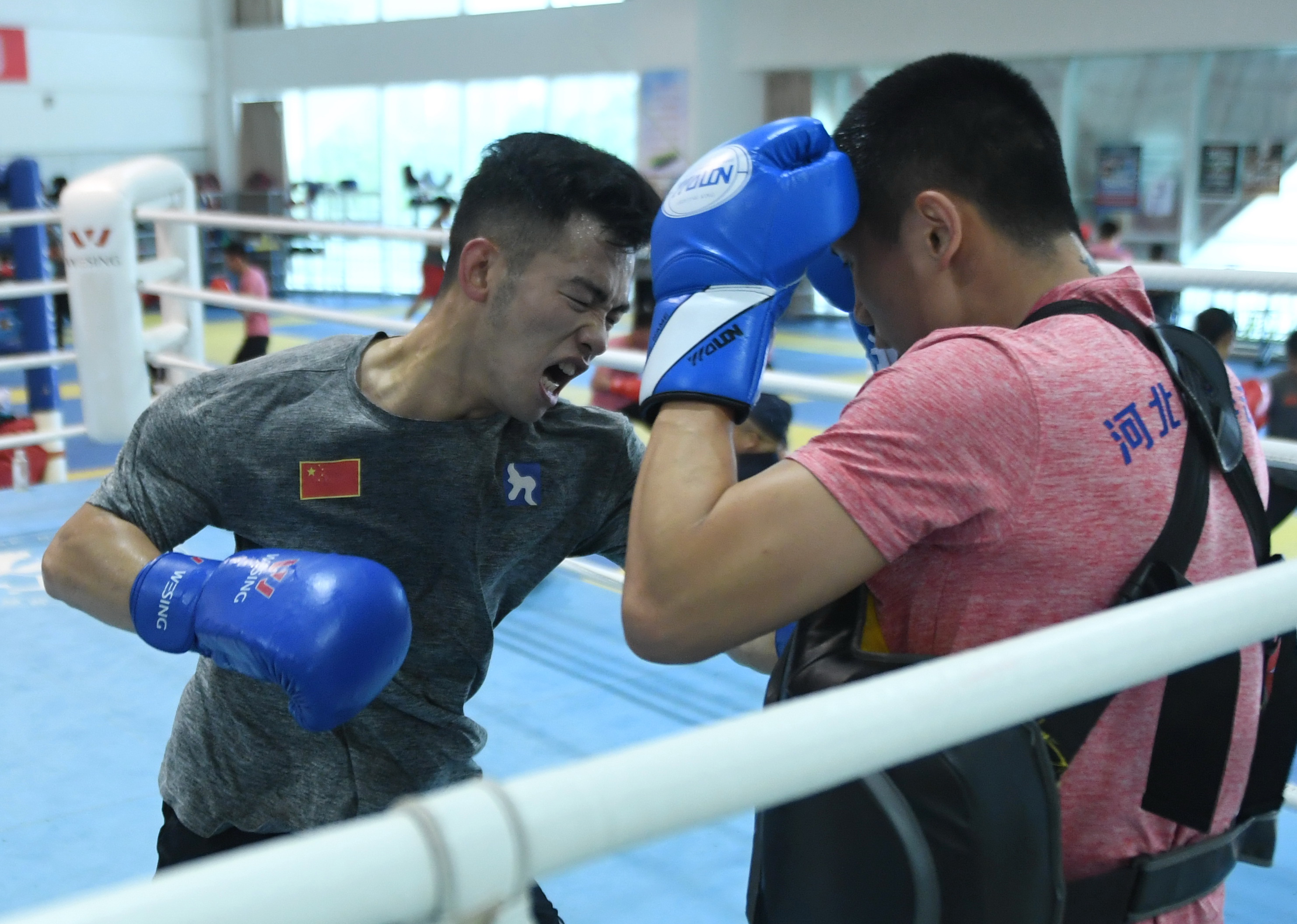 包含拳击队主教练发声,誓言带队登顶的词条 包含拳击队主教练发声,誓言带队登顶的词条