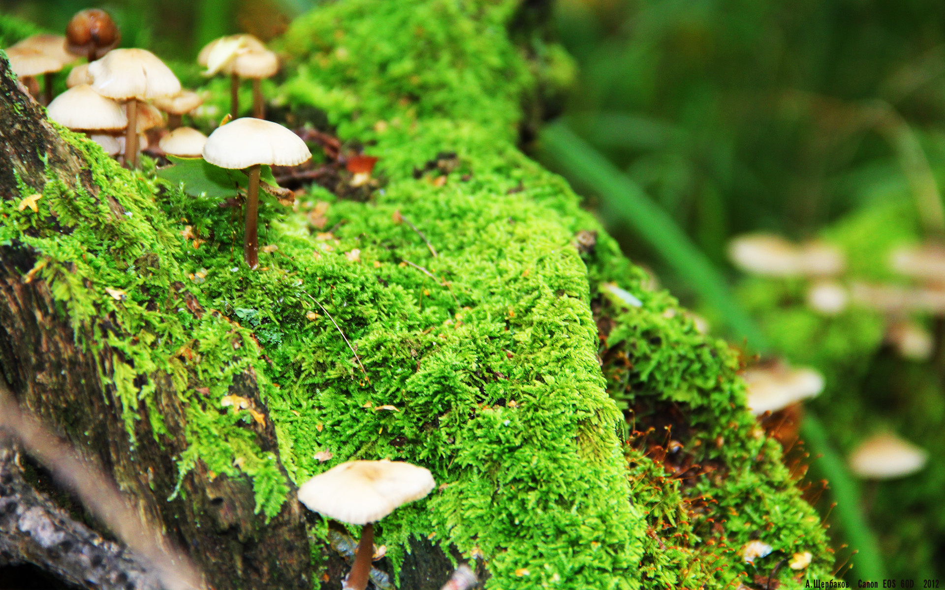 奥运周期关键战焦点战，爱尔兰争冠战的胜利密码与莱比锡红牛的战略博弈