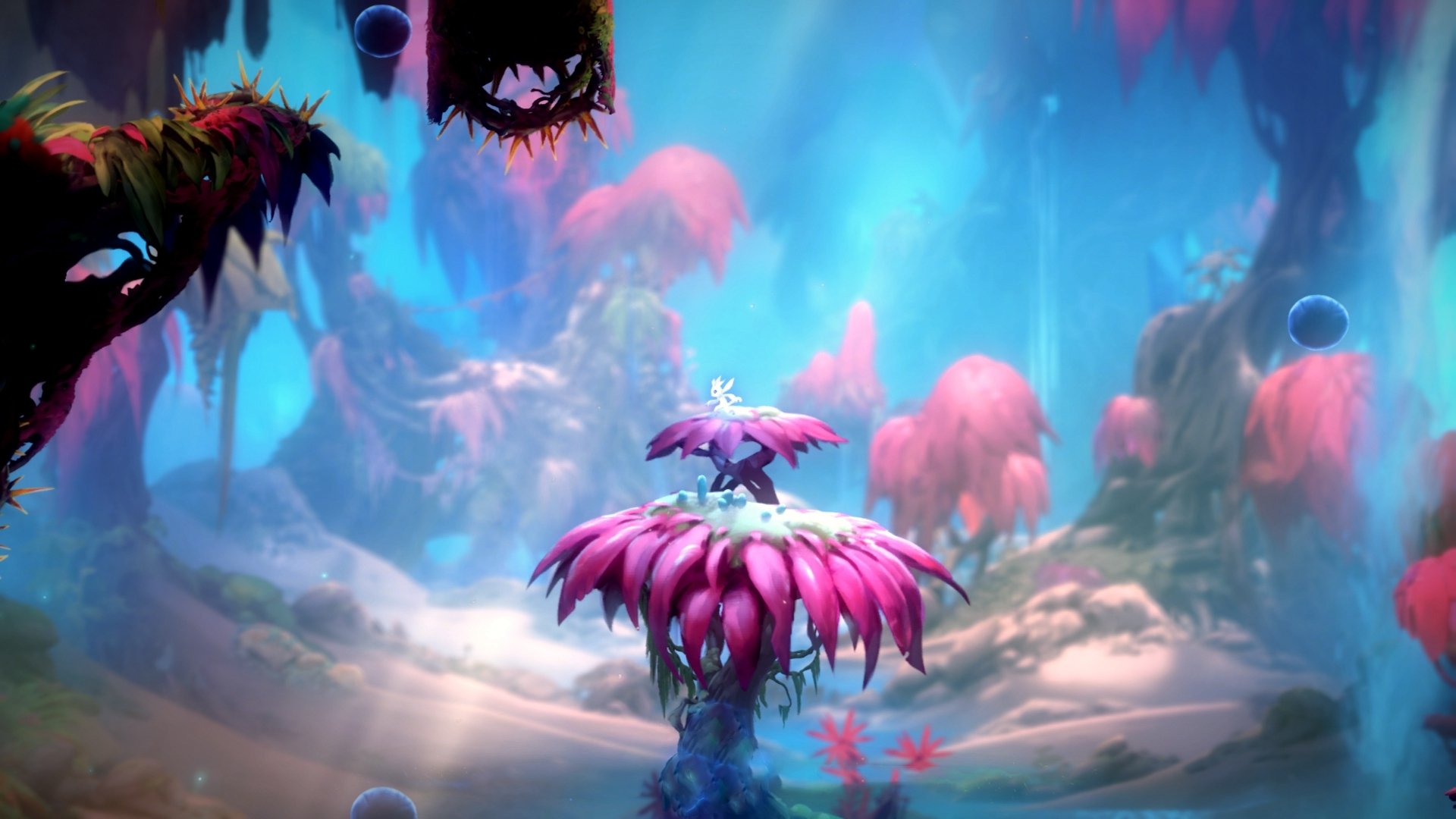 约基奇三双主宰跨联盟之战，当国王碾过北京，篮球智慧如何跨越山海