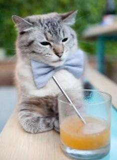 大场面基因，从伊布的狂傲到皇马与阿根廷的胜利血脉