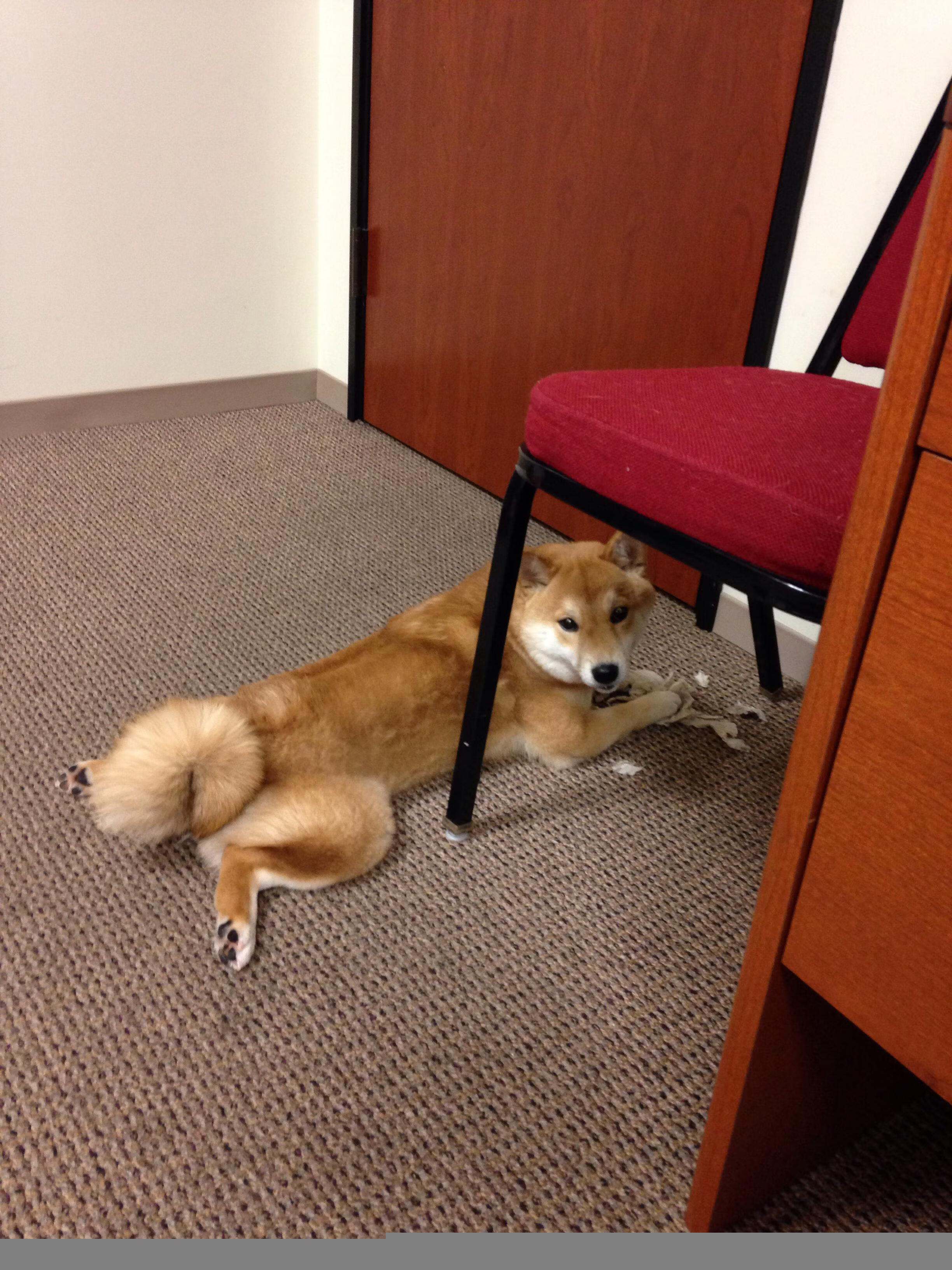 乔治导演史诗级逆转，一夜间写就的篮球教科书，国王如何绝境翻盘浙江？