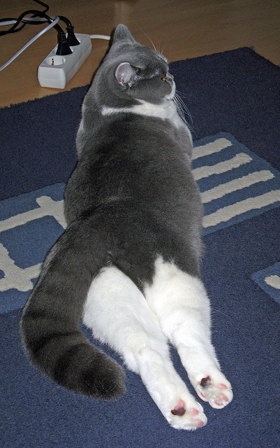 意甲焦点战之夜，米切尔完成自我救赎