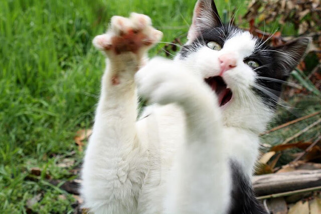 梅西式逆转，冰封战场中的攻防转换艺术