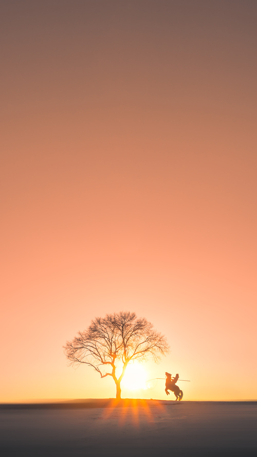 冰岛防线难挡蓝军铁蹄，阿拉巴临危受命成关键先生